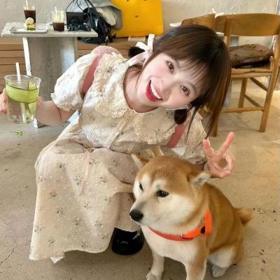 与狼共谋
